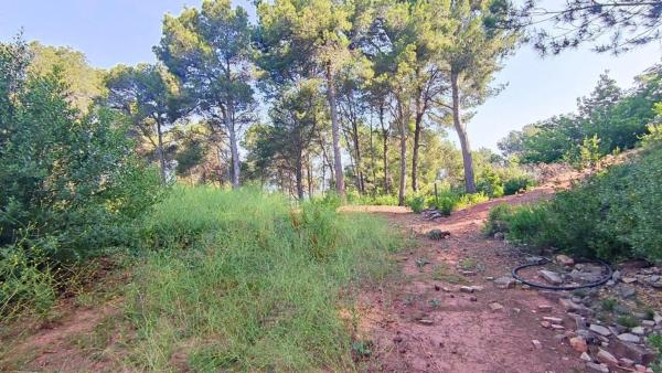 Terreno en Cervelló