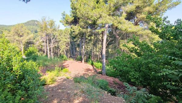 Terreno en Cervelló