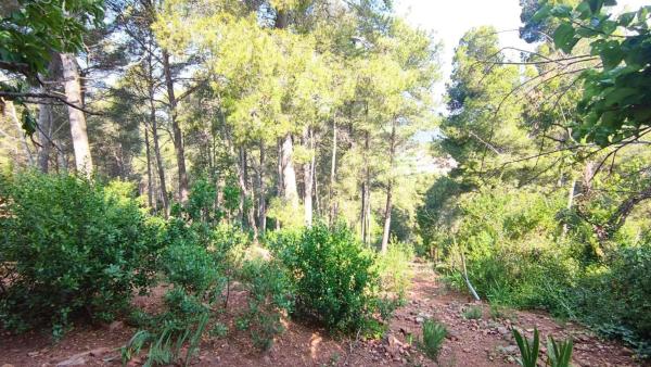 Terreno en Cervelló