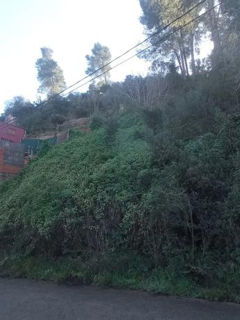 Terreno en calle Isaac Albéniz, 4