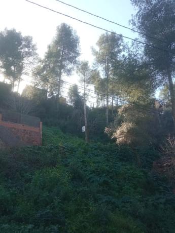 Terreno en calle Isaac Albéniz, 4