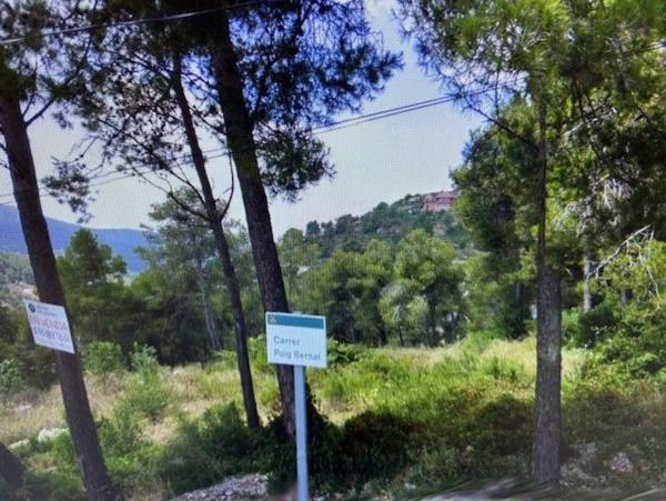 Terreno en calle Puig Bernat, 165