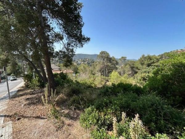 Terreno en calle Puig Bernat, 165