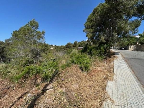 Terreno en calle Puig Bernat, 165