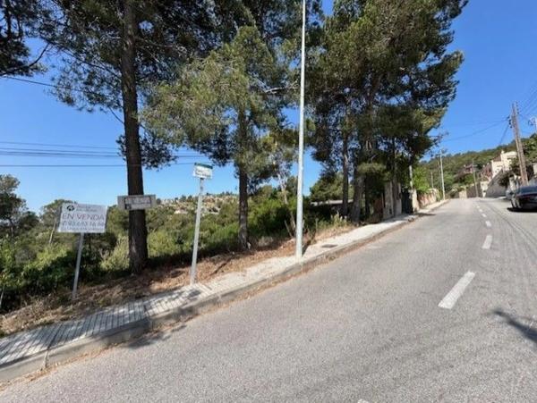 Terreno en calle Puig Bernat, 165