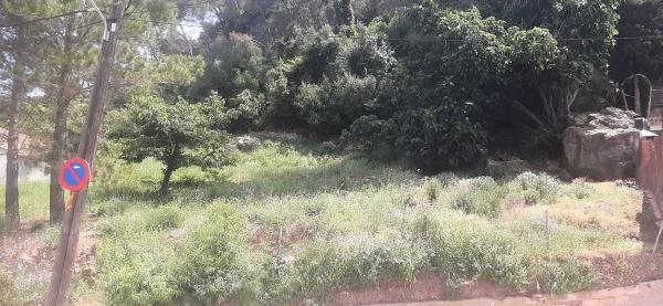 Terreno en avenida Núria, 6