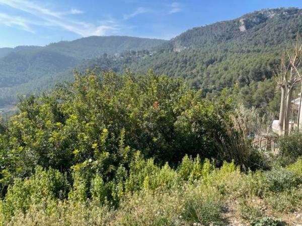 Terreno en calle Doctor Cuatrecasas, 65