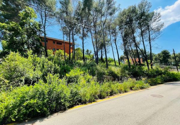 Terreno en calle Principat de Catalunya s/n