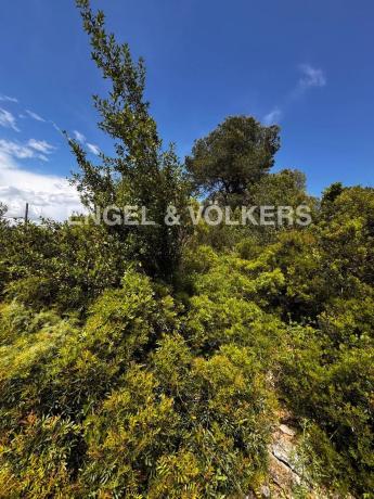Terreno en Vallirana