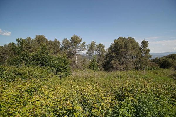 Terreno en calle d'Abelló, 16