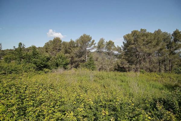 Terreno en calle d'Abelló, 16