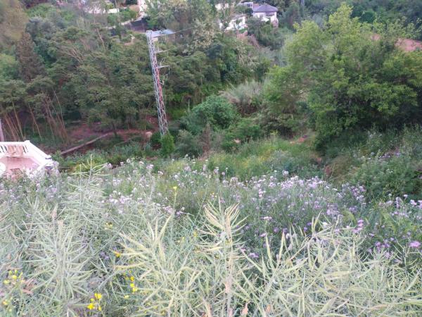 Terreno en avenida roma, 12