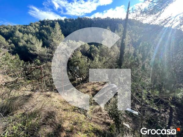 Terreno en calle Xaloc