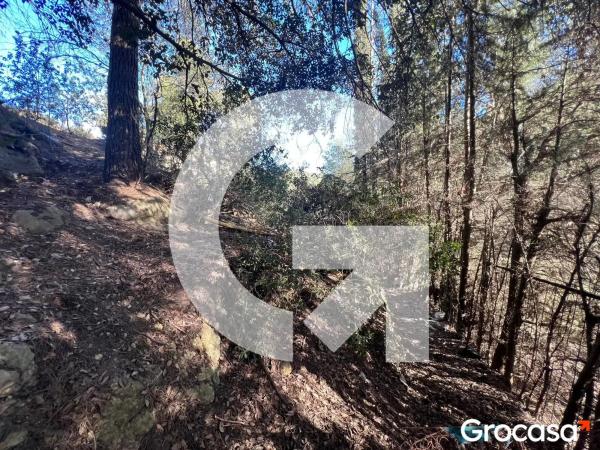 Terreno en calle Xaloc