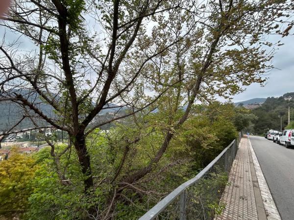 Terreno en Santa Magdalena