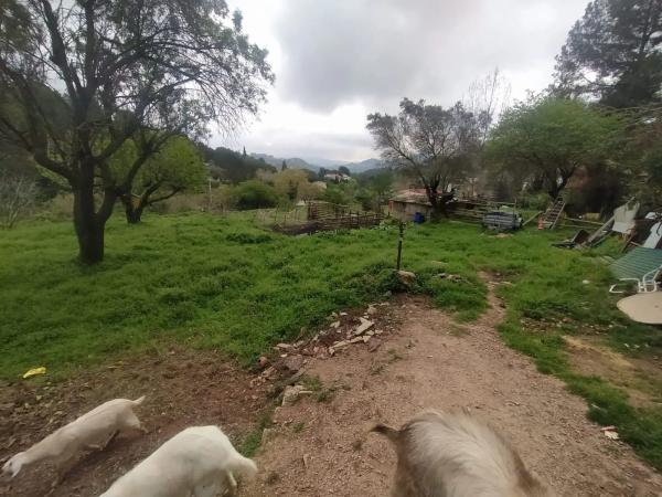 Terreno en Corbera de Llobregat