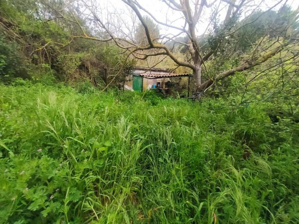 Terreno en Corbera de Llobregat