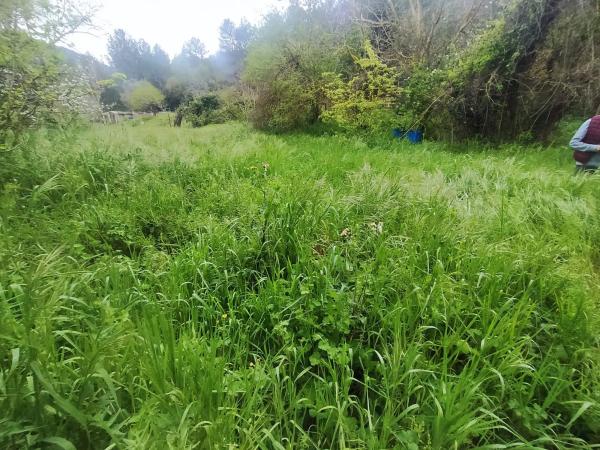 Terreno en Corbera de Llobregat