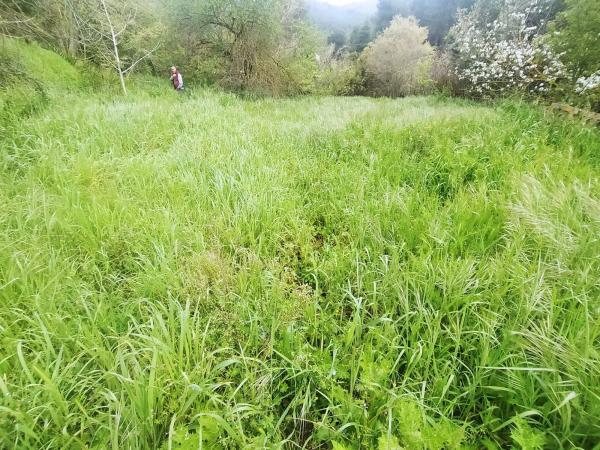 Terreno en Corbera de Llobregat
