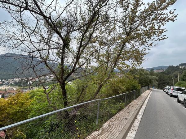 Terreno en Santa Magdalena