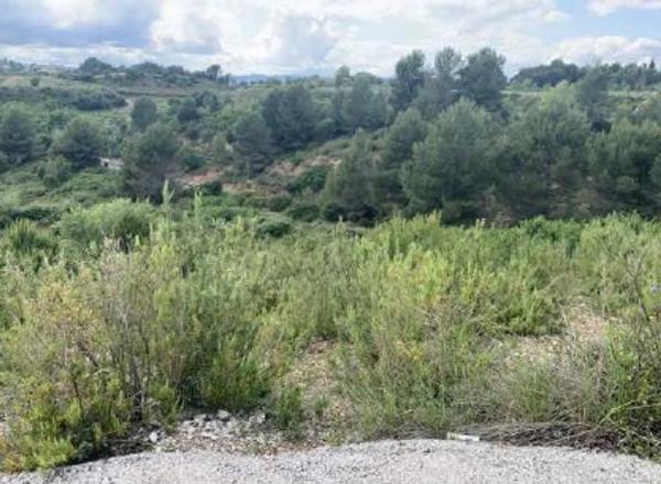 Terreno en Aviguda Montsey