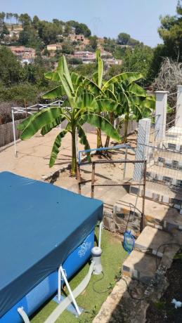 Terreno en calle Jardí, 11