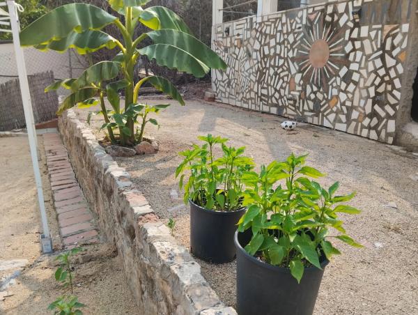 Terreno en calle Jardí, 11