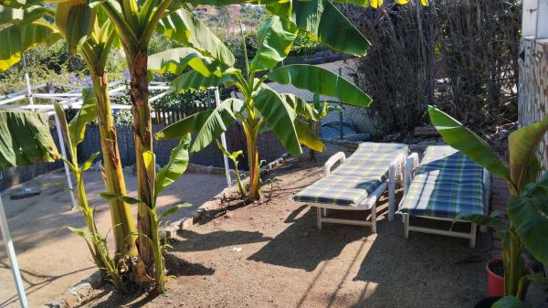 Terreno en calle Jardí, 11