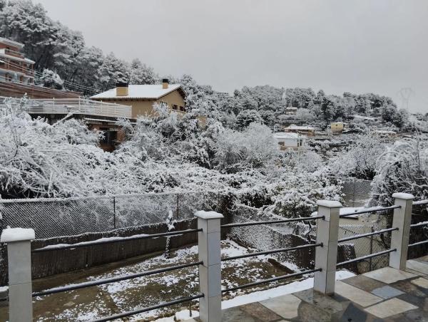 Terreno en calle Jardí, 11