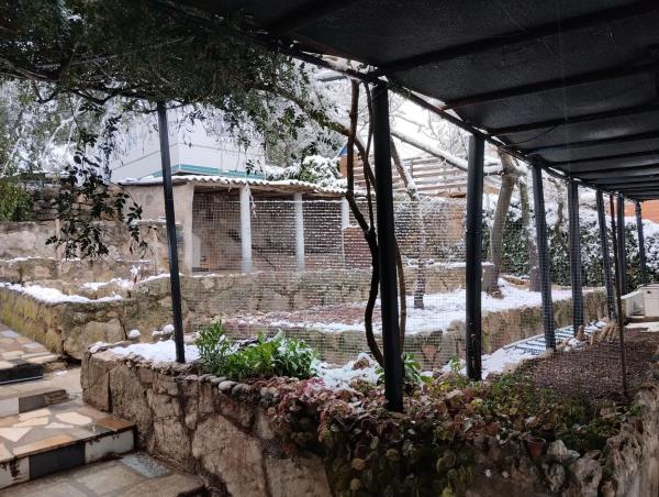 Terreno en calle Jardí, 11