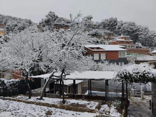 Terreno en calle Jardí, 11