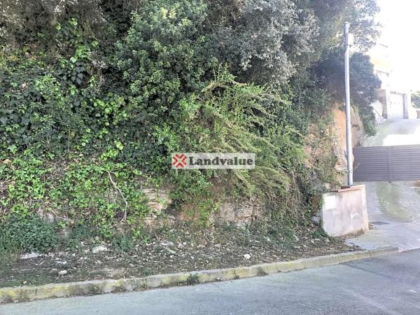 Terreno en avenida Roma, 20