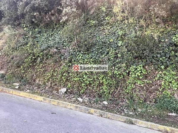Terreno en avenida Roma, 20
