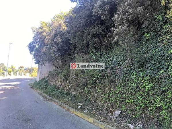 Terreno en avenida Roma, 20