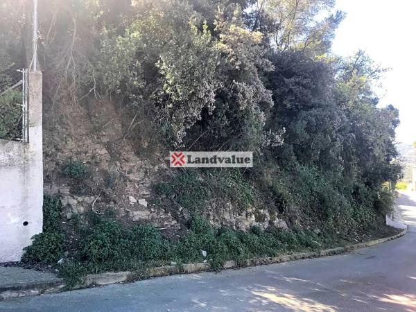 Terreno en avenida Roma, 20