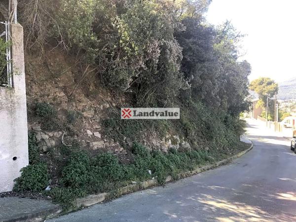 Terreno en avenida Roma, 20