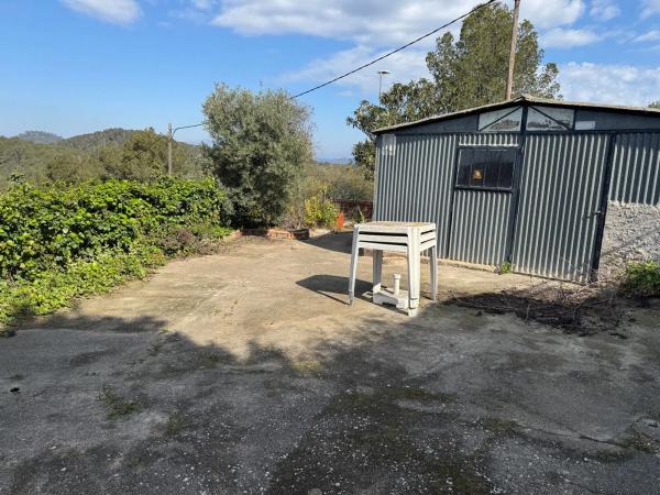 Terreno en calle La Palmera