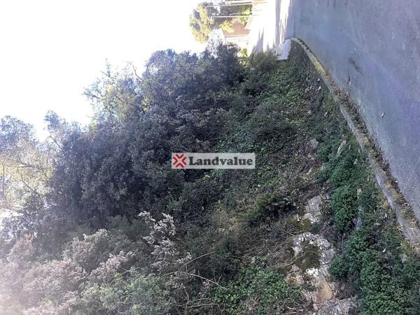 Terreno en avenida Roma, 20