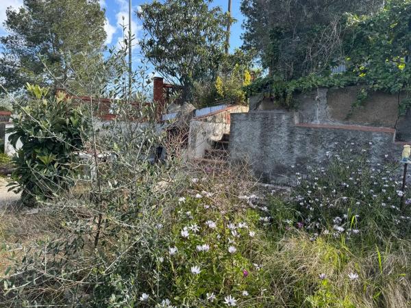 Terreno en calle La Palmera