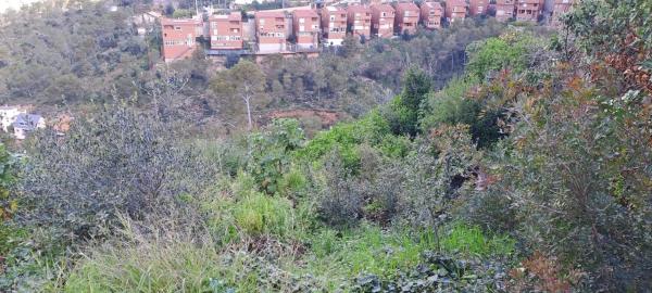 Terreno en calle dels Pintors