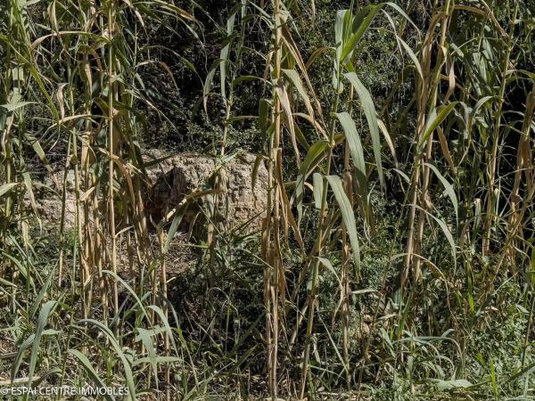 Terreno en calle Vilafranca de Conflent, 26