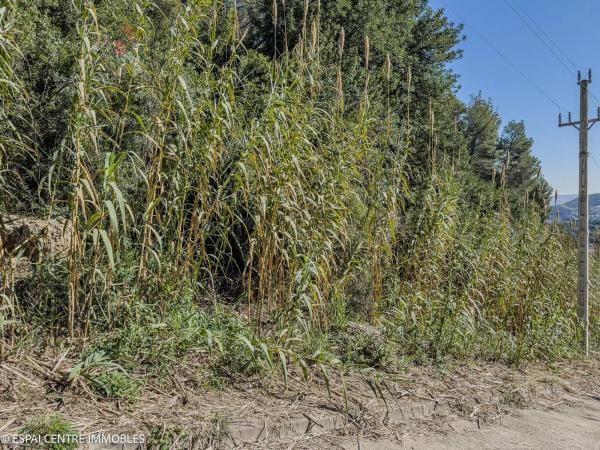 Terreno en calle Vilafranca de Conflent, 26