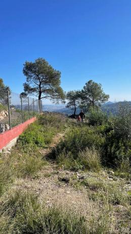 Terreno en calle del Moixeró, 18