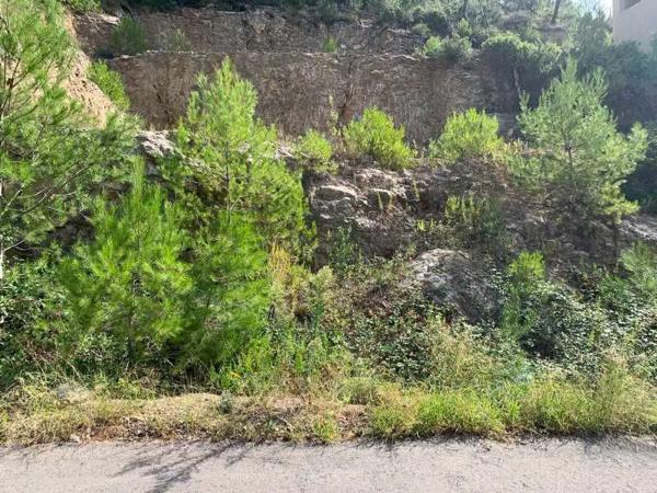 Terreno en calle Gregal