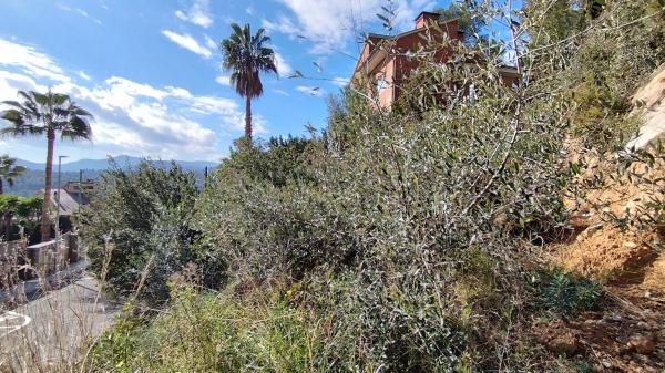Terreno en calle Collserola, 1