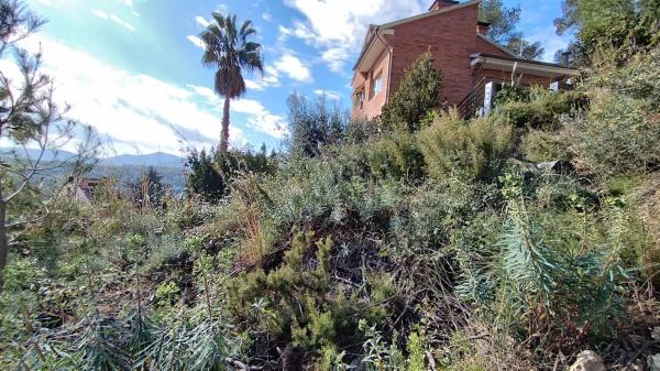 Terreno en calle Collserola, 1