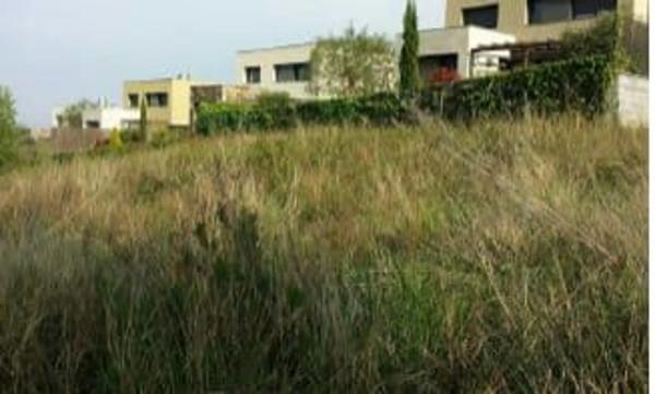 Terreno en calle Núria