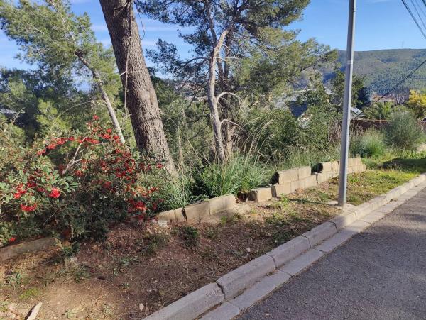 Terreno en calle Bona-Vall, 7