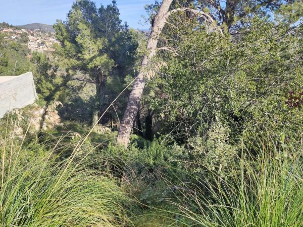 Terreno en calle Bona-Vall, 7