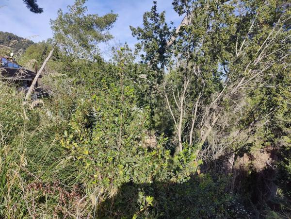 Terreno en calle Bona-Vall, 7